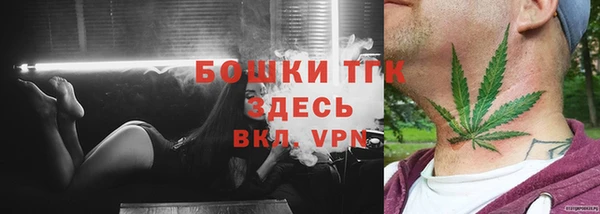 соль ск Ладушкин