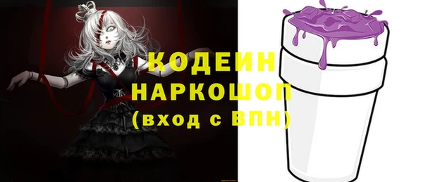соль ск Ладушкин